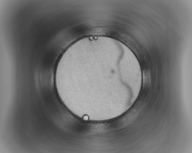 X0000112920301200908241231