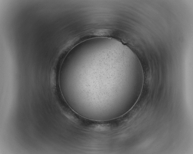 X0000112920303200908241231