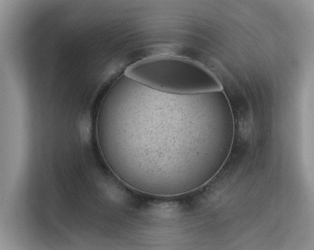X0000112920304200908241231