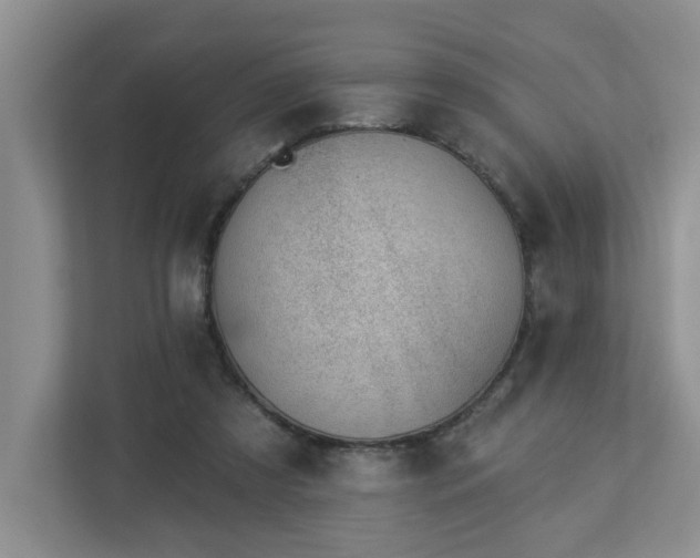 X0000112920305200908241231