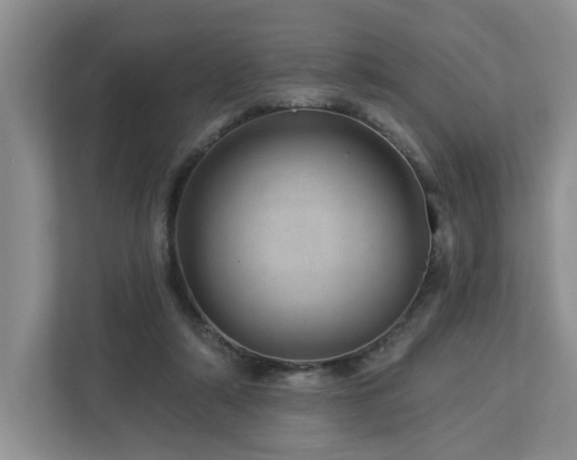 X0000112920306200908241231