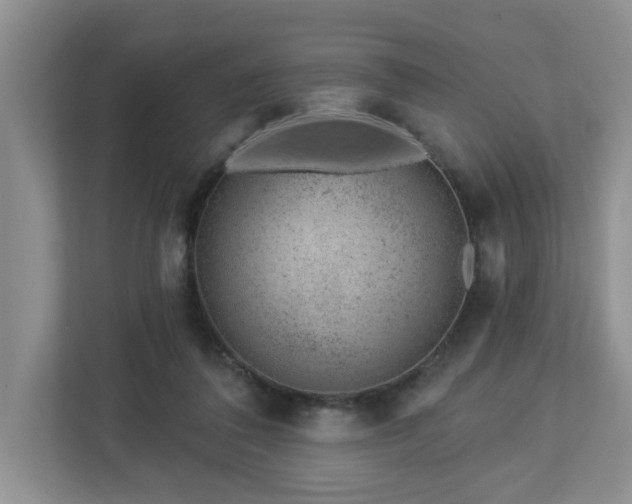 X0000112920308200908241231