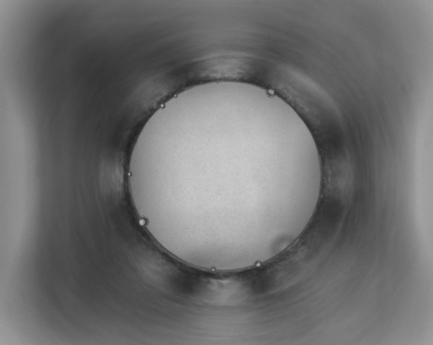 X0000112920309200908241231