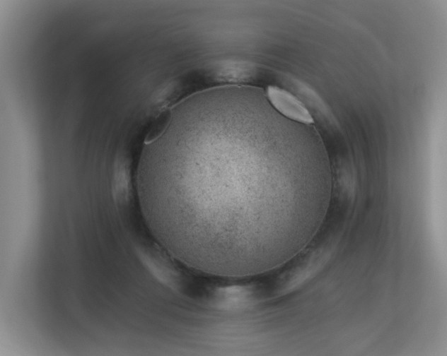 X0000112920312200908241231