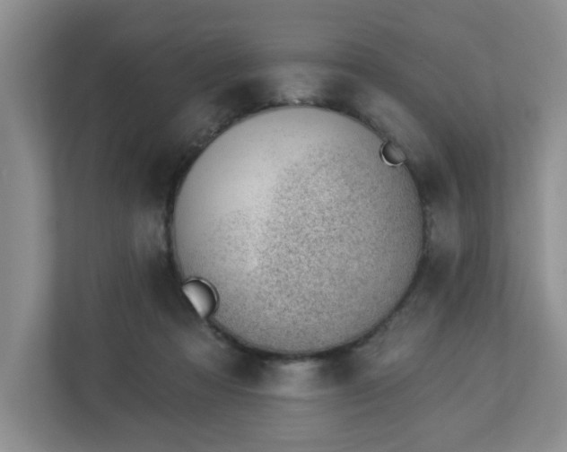 X0000112920313200908241231