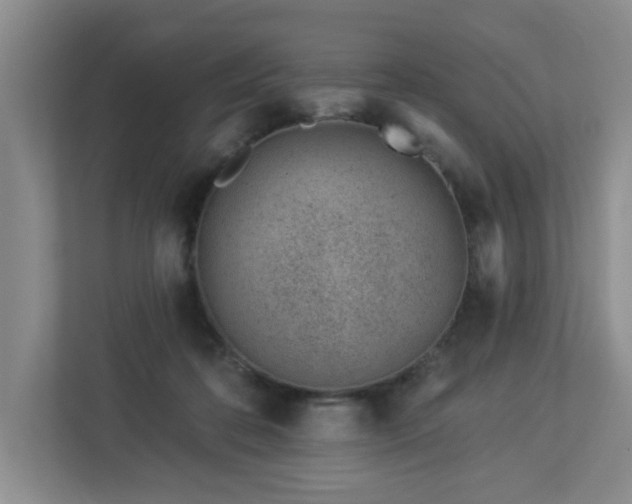 X0000112920316200908241231