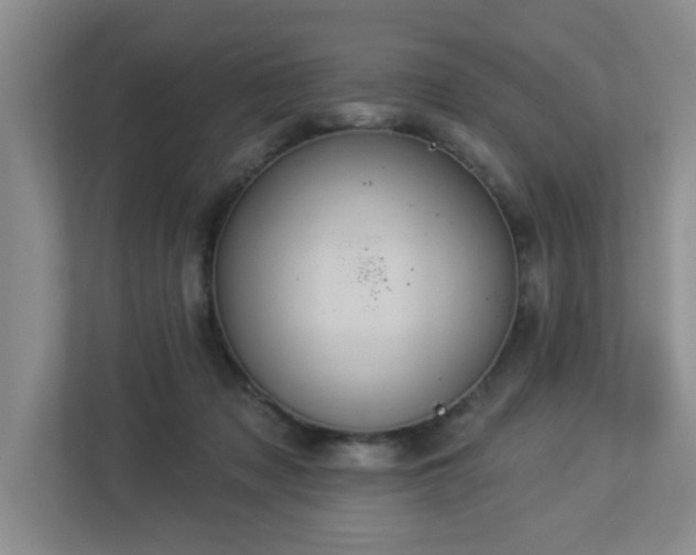 X0000112920317200908241231