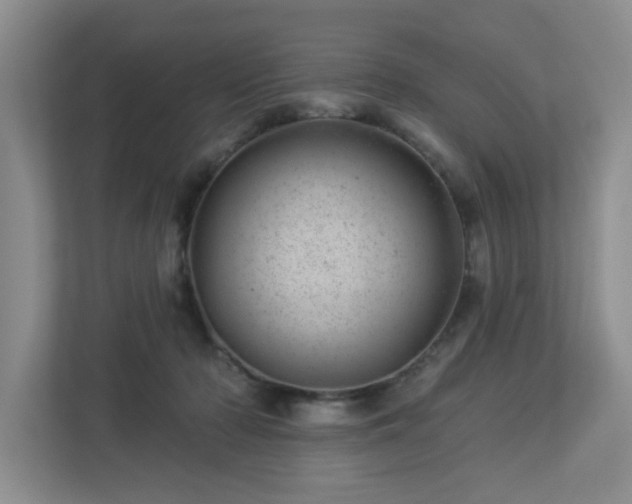 X0000112920318200908241231
