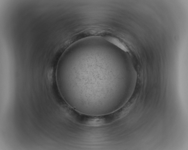 X0000112920319200908241231
