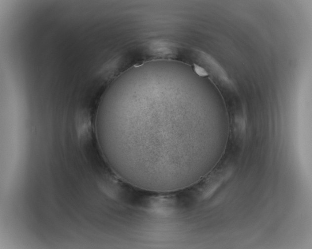 X0000112920320200908241231