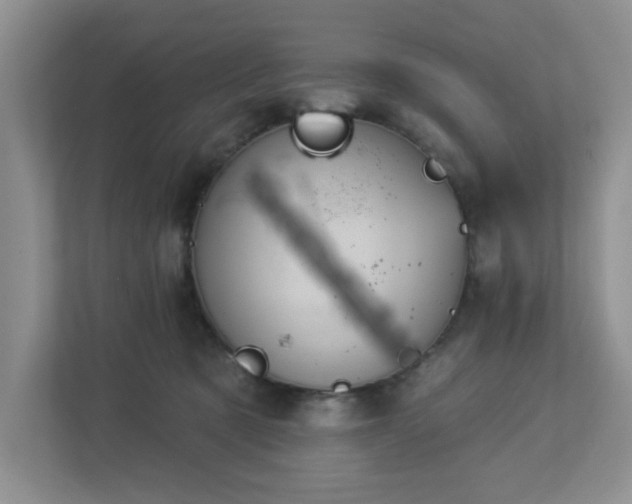 X0000112920321200908241231