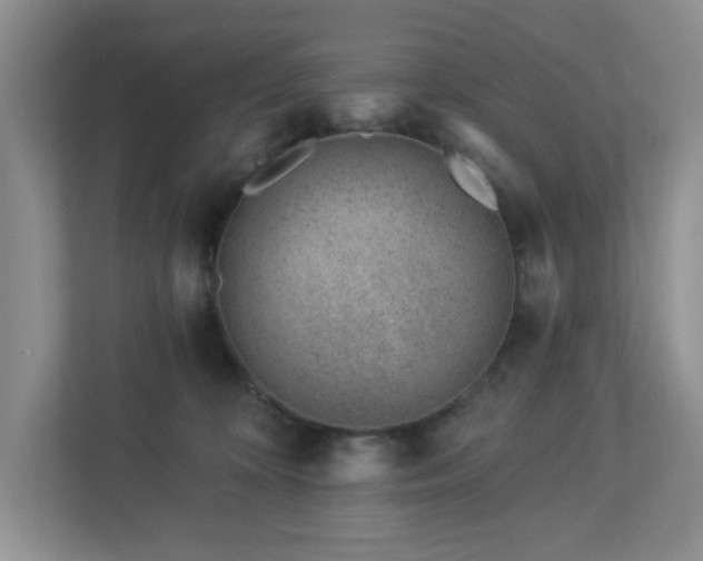 X0000112920324200908241231
