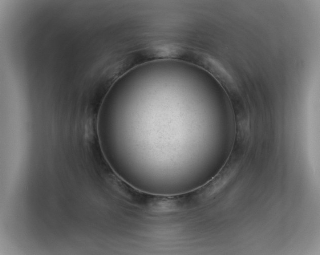 X0000112920325200908241231