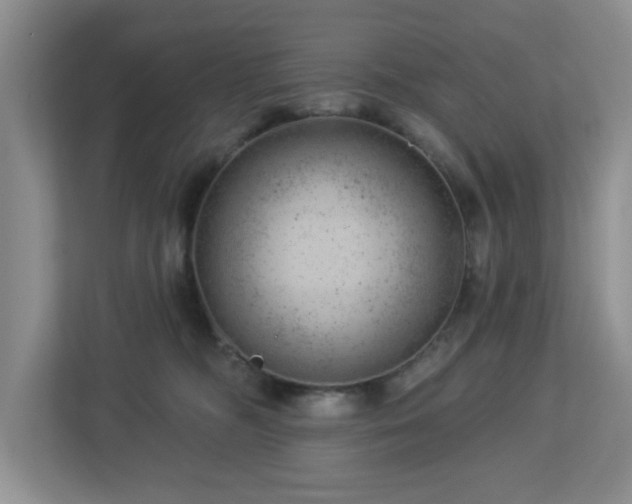 X0000112920326200908241231