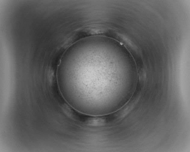 X0000112920327200908241231
