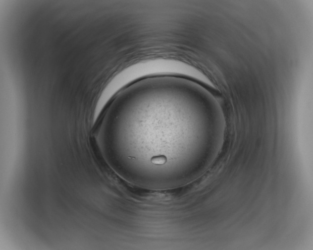 X0000112920328200908241231