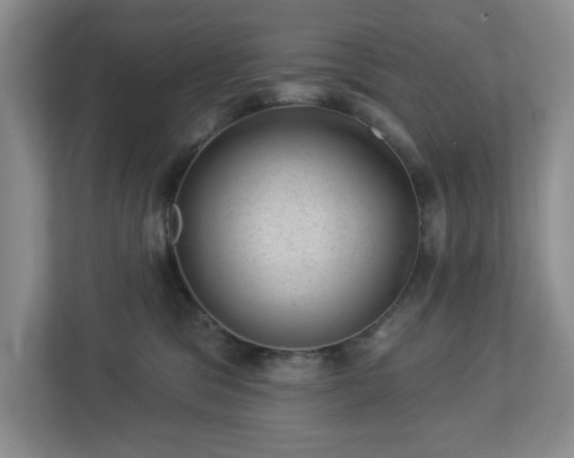 X0000112920329200908241231