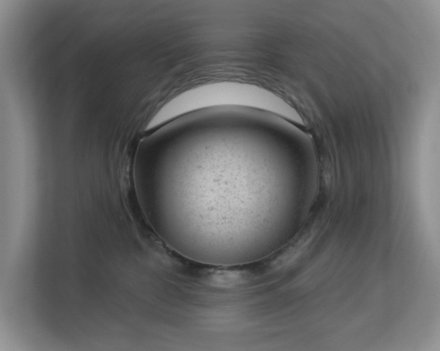 X0000112920332200908241231