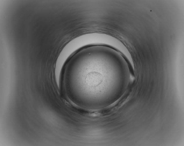 X0000112920333200908241231