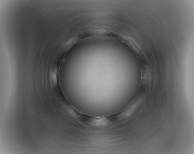 X0000112920334200908241231