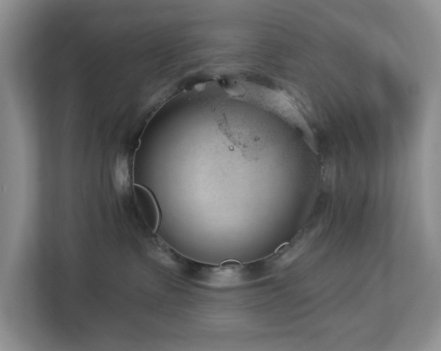 X0000112920335200908241231