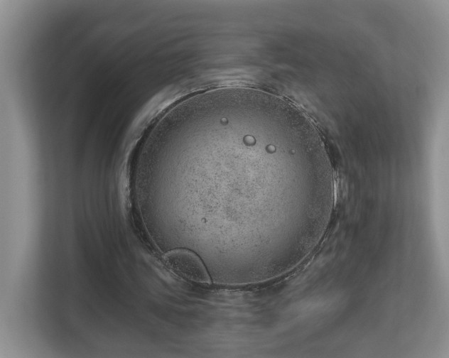 X0000112920339200908241230