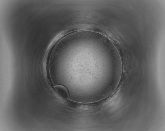 X0000112920341200908241230