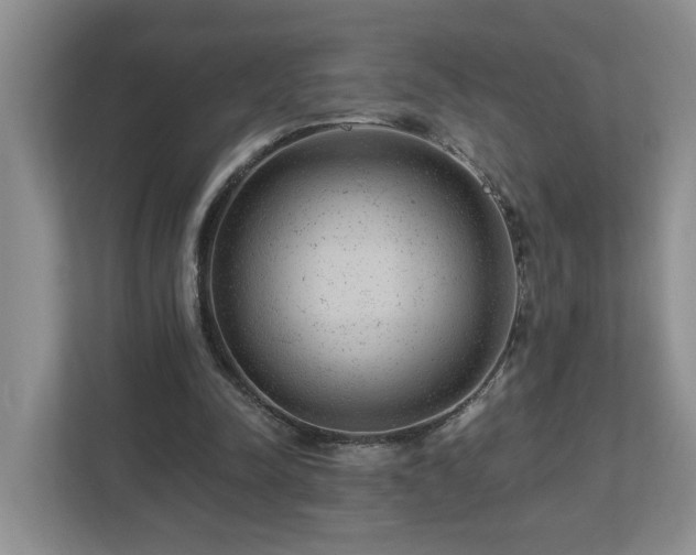 X0000112920342200908241230