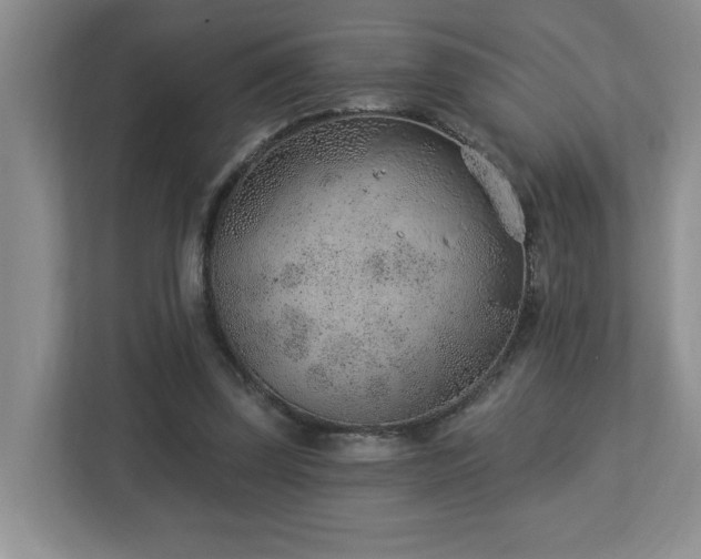X0000112920347200908241230
