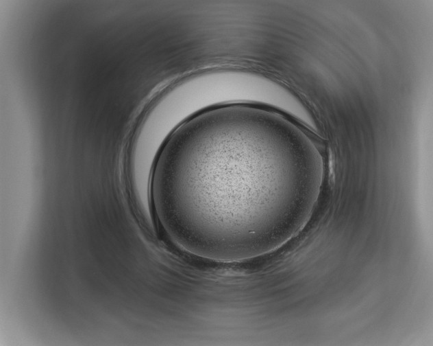 X0000112920348200908241230
