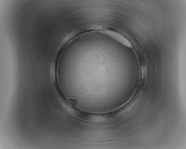 X0000112920349200908241230