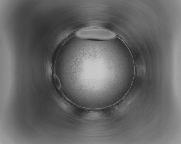 X0000112920350200908241230