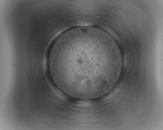 X0000112920351200908241231