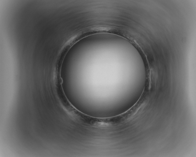 X0000112920352200908241231