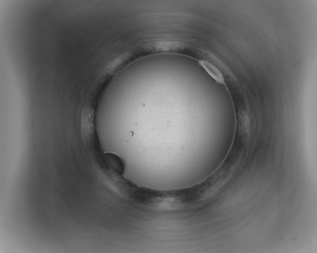 X0000112920356200908241231