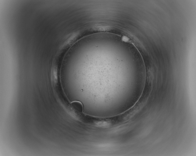X0000112920358200908241231