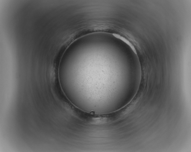 X0000112920362200908241231