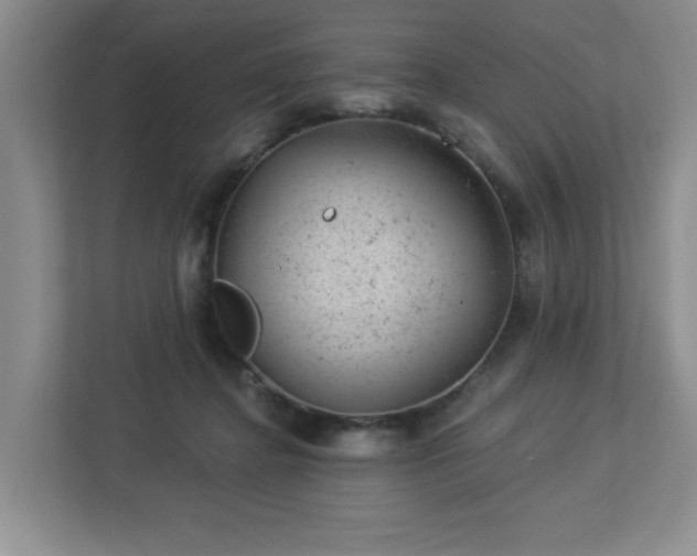 X0000112920364200908241231