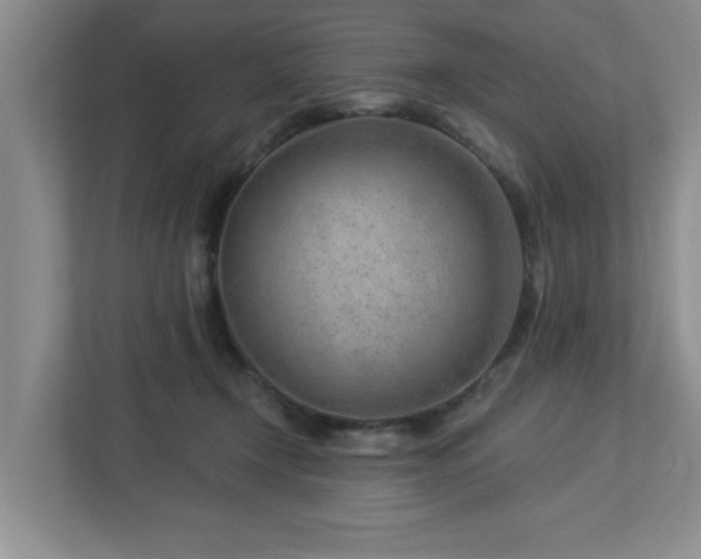 X0000112920366200908241231