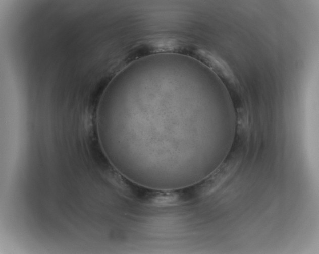 X0000112920369200908241231