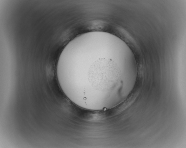 X0000112920370200908241231