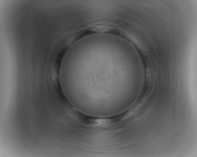 X0000112920371200908241231