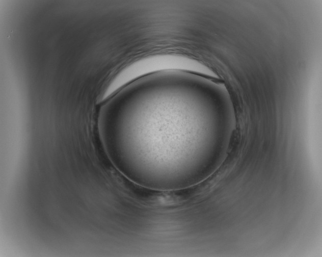 X0000112920372200908241231