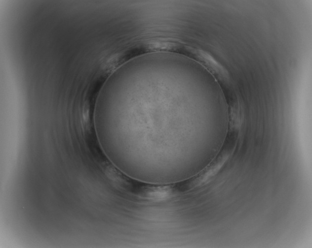 X0000112920377200908241231
