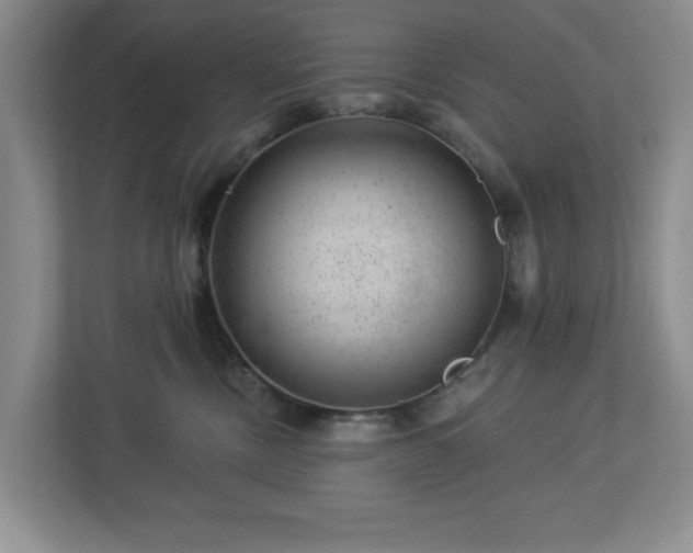X0000112920378200908241231