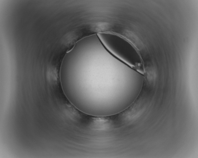 X0000112920380200908241231