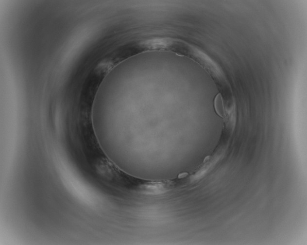 X0000112920381200908241231