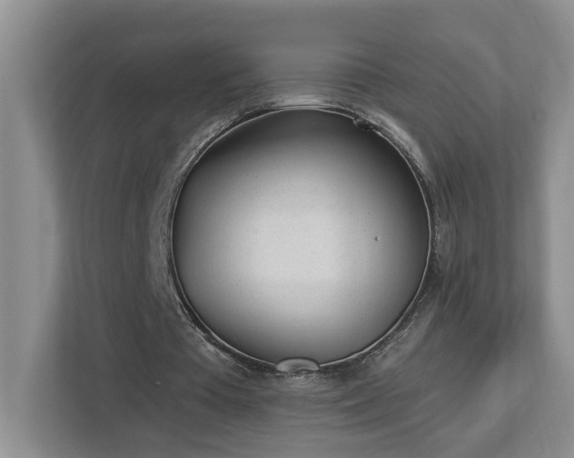 X0000112920385200908241230