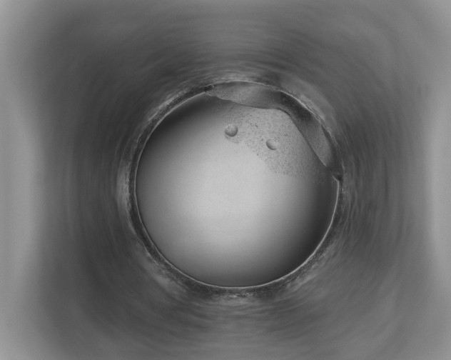 X0000112920386200908241230