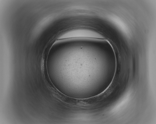 X0000112920387200908241230